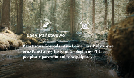 Lasy i georóżnorodność – dziedzictwo naturalne dla przyszłych pokoleń