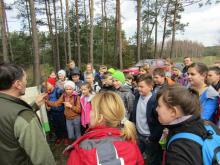 Akcja sadzenia lasu w Nadleśnictwie Dąbrowa
