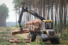 Uwaga nowe dokumenty dotyczące zasad sprzedaży drewna