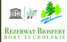 10 lat od powołania Rezerwatu Biosfery Bory Tucholskie