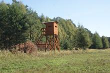 Organizacja polowań w Nadleśnictwie Dąbrowa